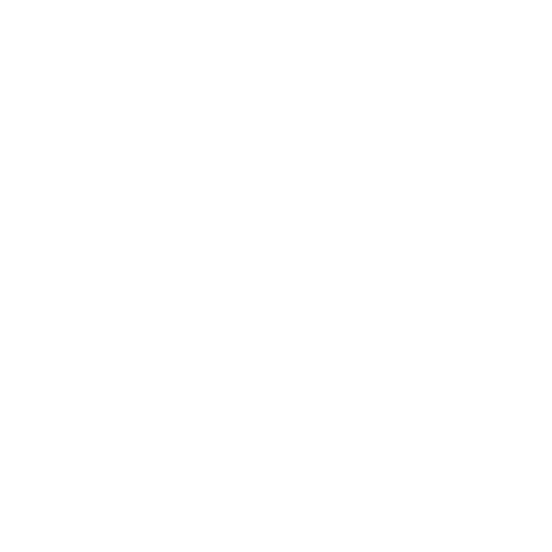 Jeronimo da Veiga